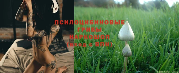 apvp Нефтегорск